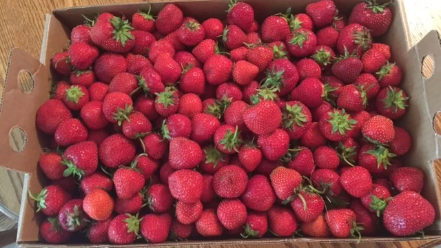 Strawberry Thumbs