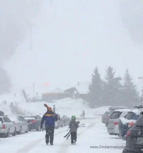 Best small talk of the season.  Most impressive skier I’ve ever seen.