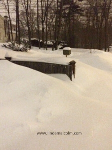 a 4 foot fence