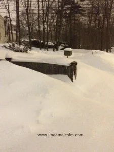 a 4 foot fence