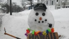 The Winter Hitchhiker