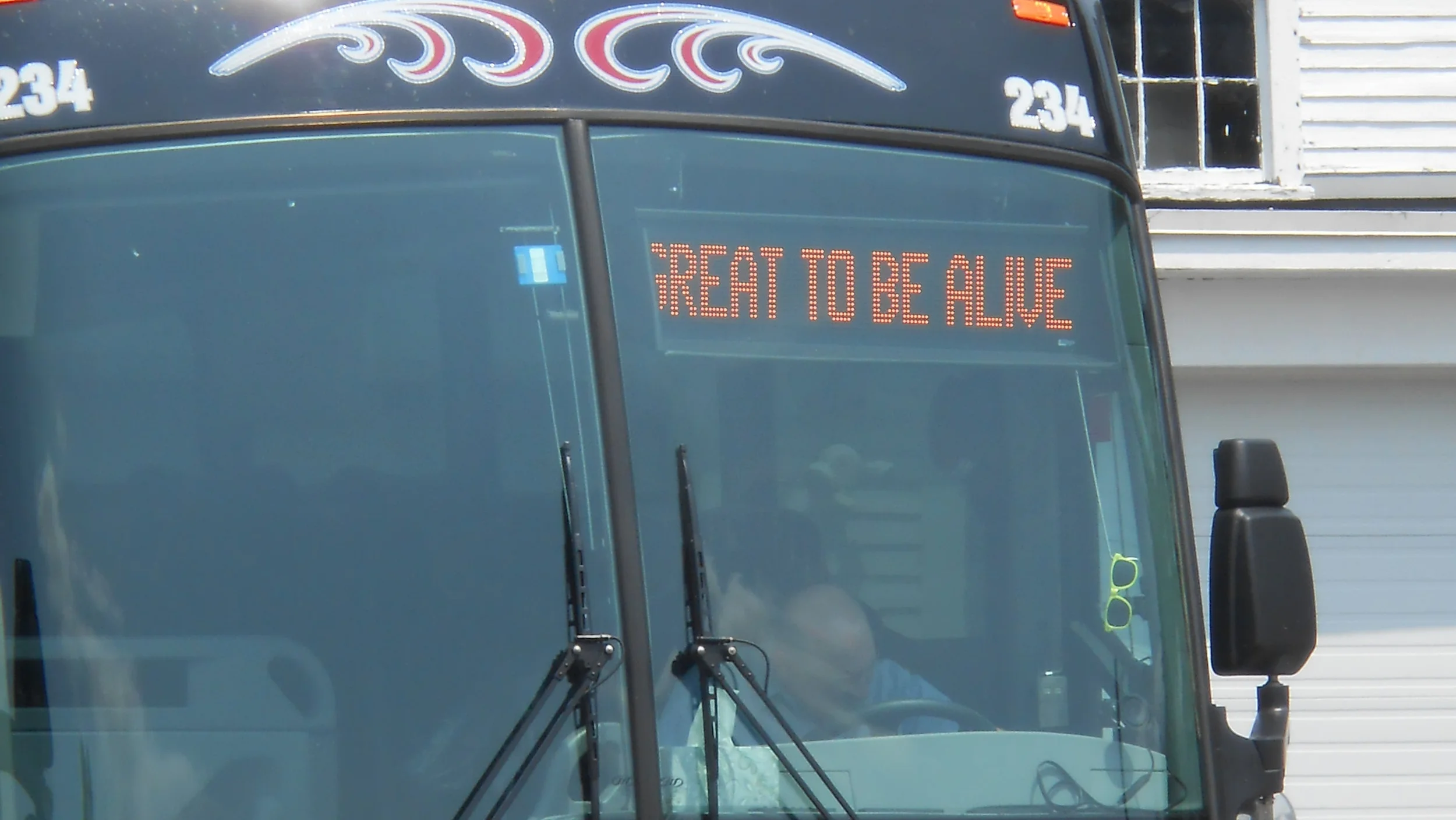 Great to Be Alive