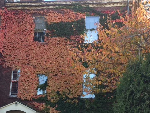 from summer to fall with a pocketful of prayer