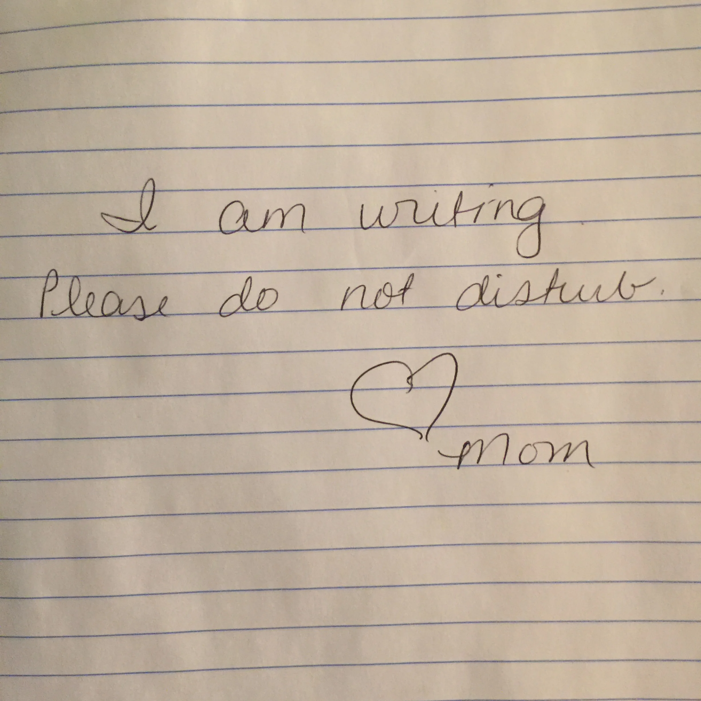 NYS Summer Writers Institute Recap