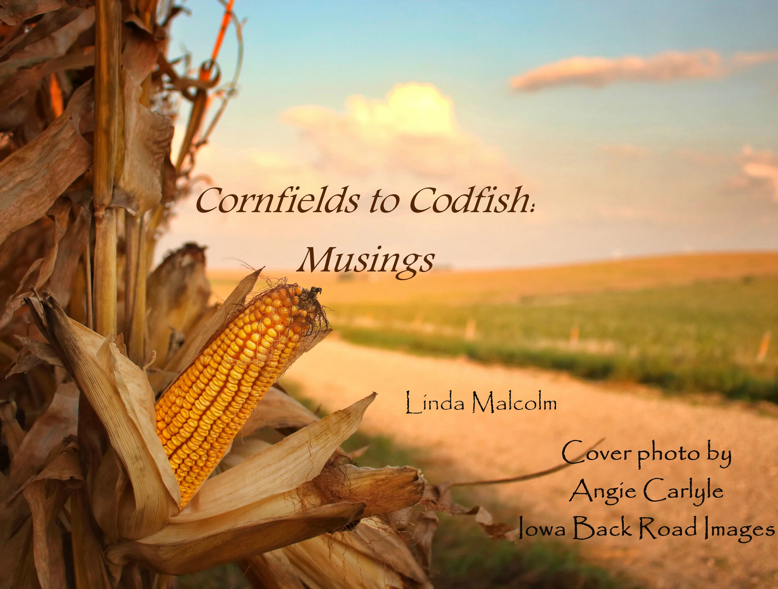 The Cover Photo!
