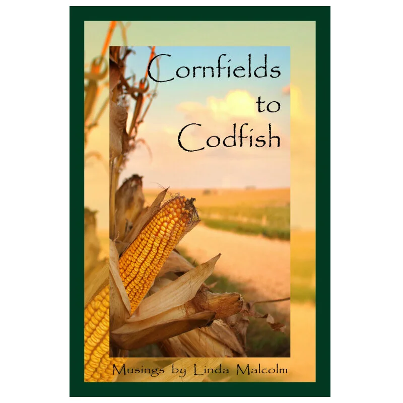 cornfields_square.jpg