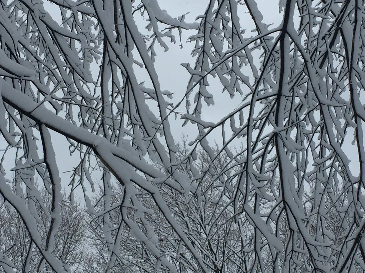 A Warm Winter Air Bubble