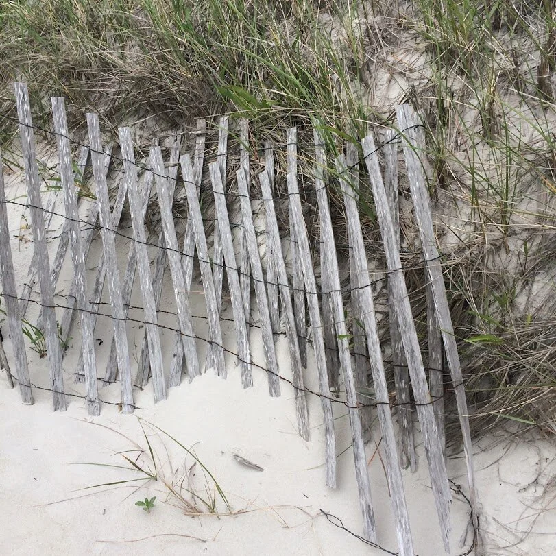 A Bird on the Doorstep