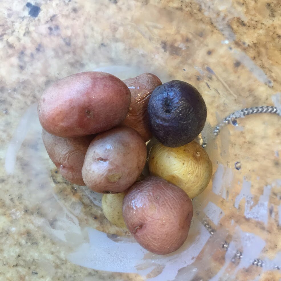 Constant Companions: Potatoes