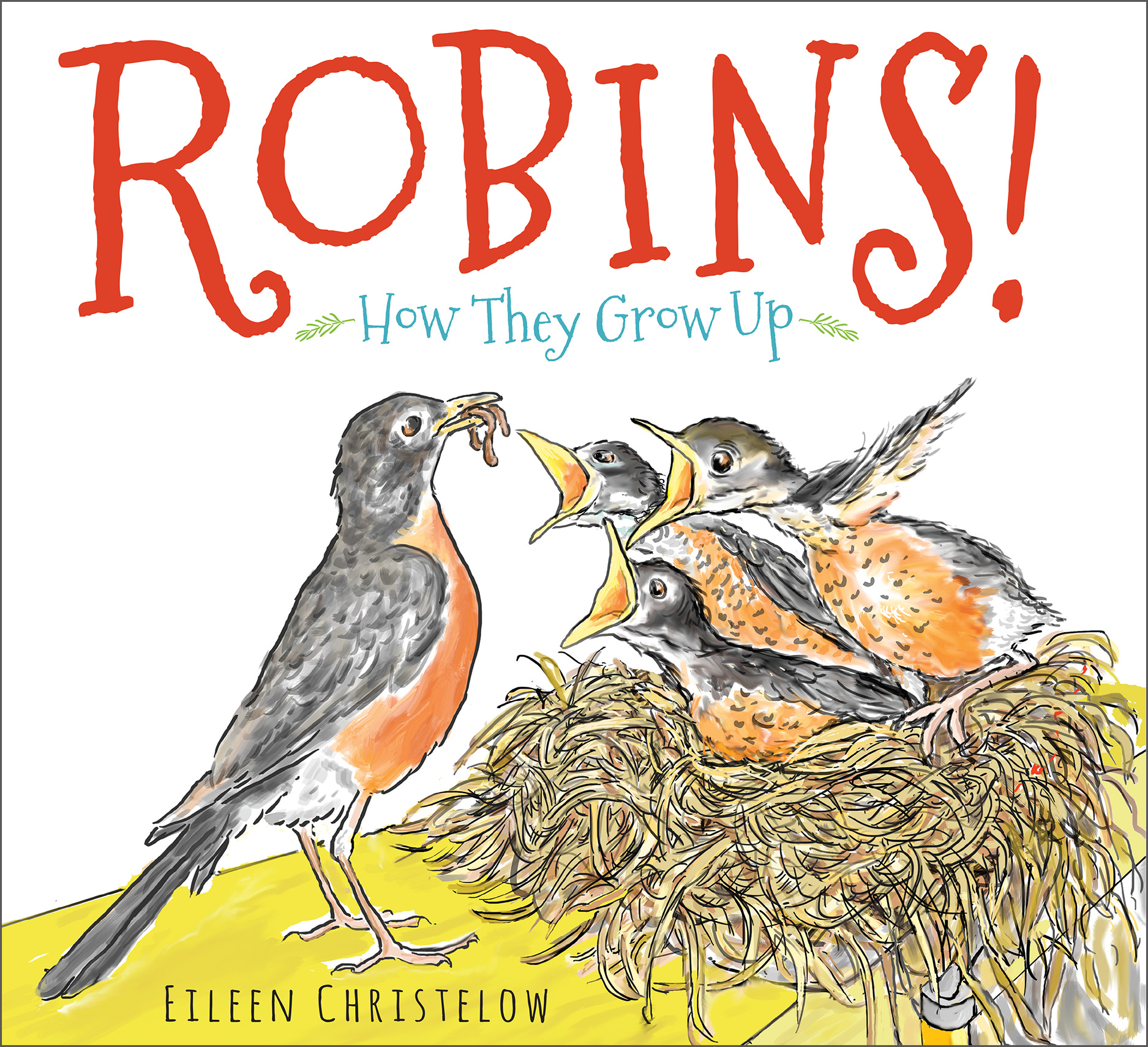 ROBINS! Cover.jpg