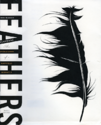 2012 Young Adult Winner