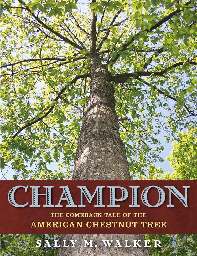 Champion.jpg