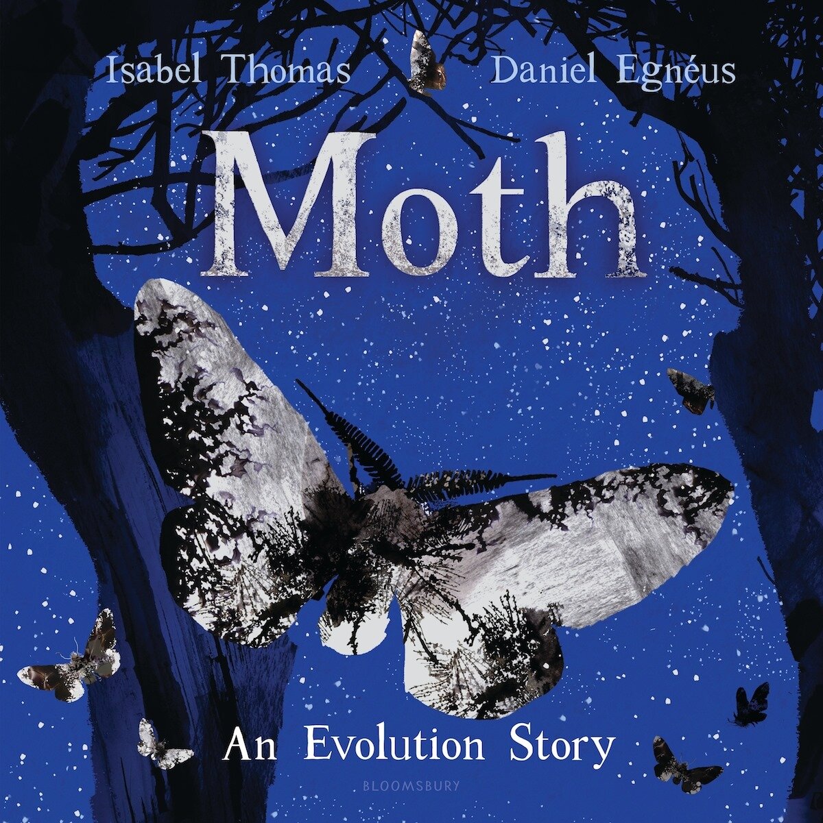 Moth: An Evolution Story Book Cover