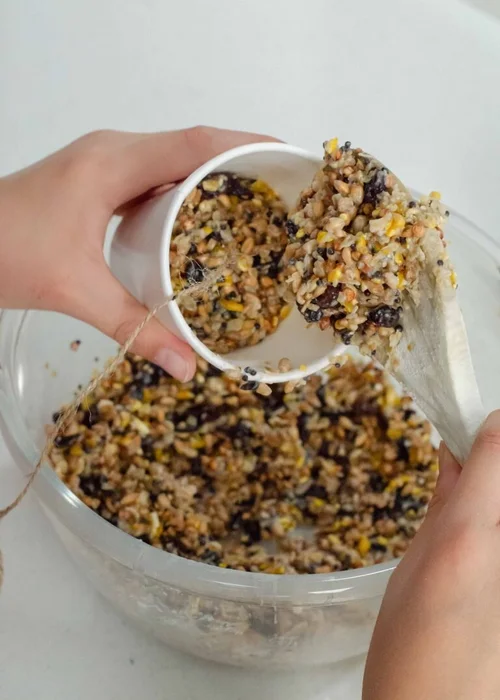 How to Make Your Own Bird Seed Mix: Easy, Nutritious & Budget-Friendly