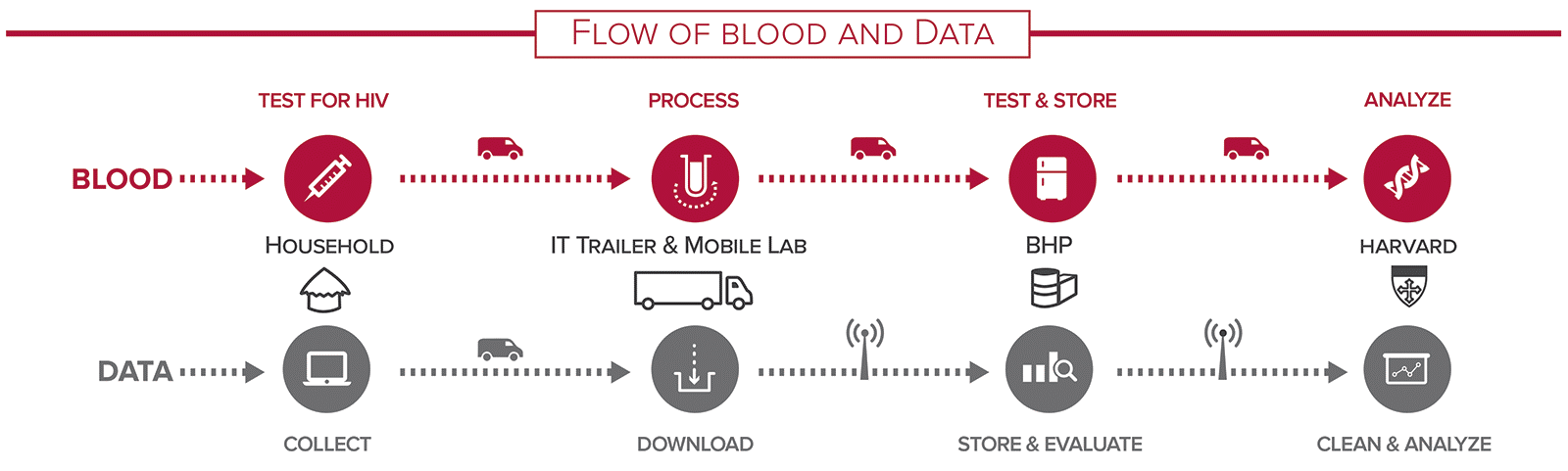 Figure 2. Flow of information from the first test of HIV to cleaning and analyzing the data.