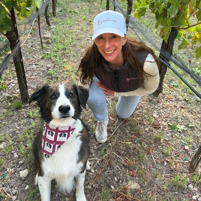border collie mix and his owner in a vineyard