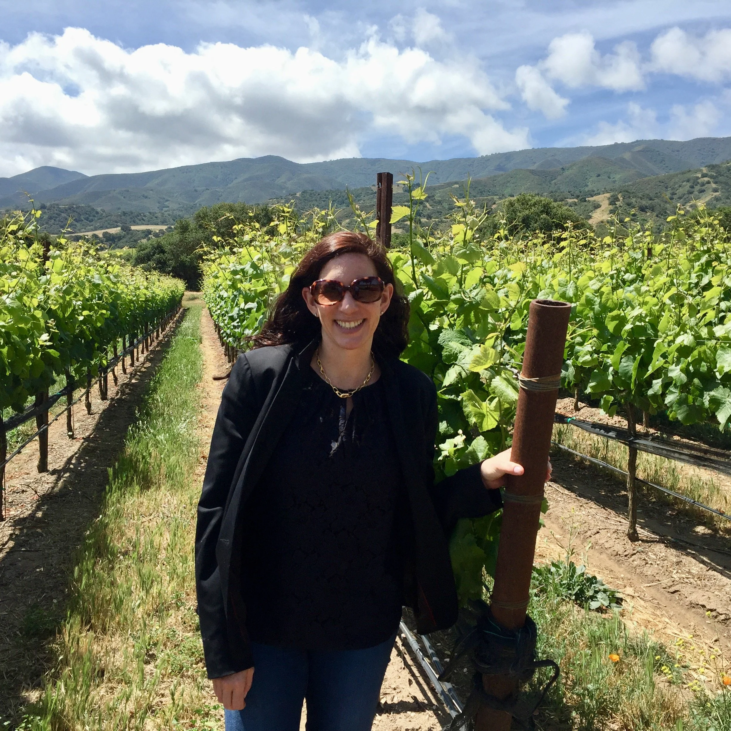 A Primer on the Santa Lucia Highlands