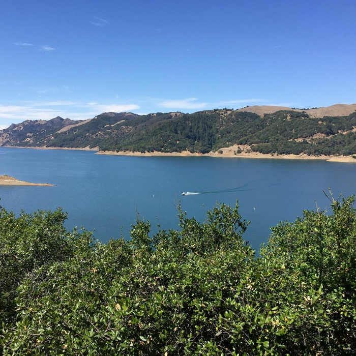 The 101 on Red Zinfandel: Everything You Need To Know