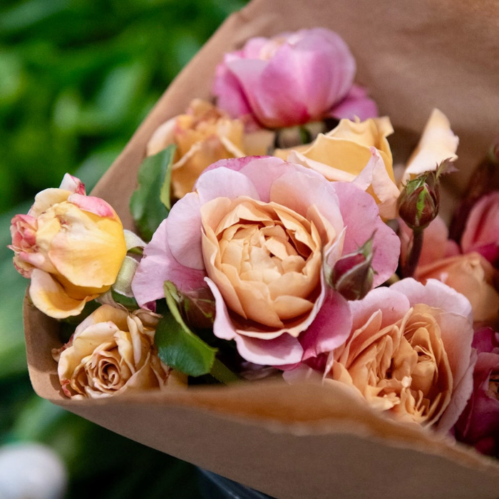 5 Reasons to Visit the Russian River Valley in 2023