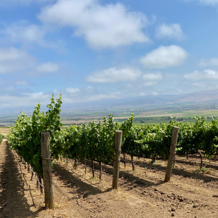 Five Reasons to Fall in Love with the Santa Lucia Highlands