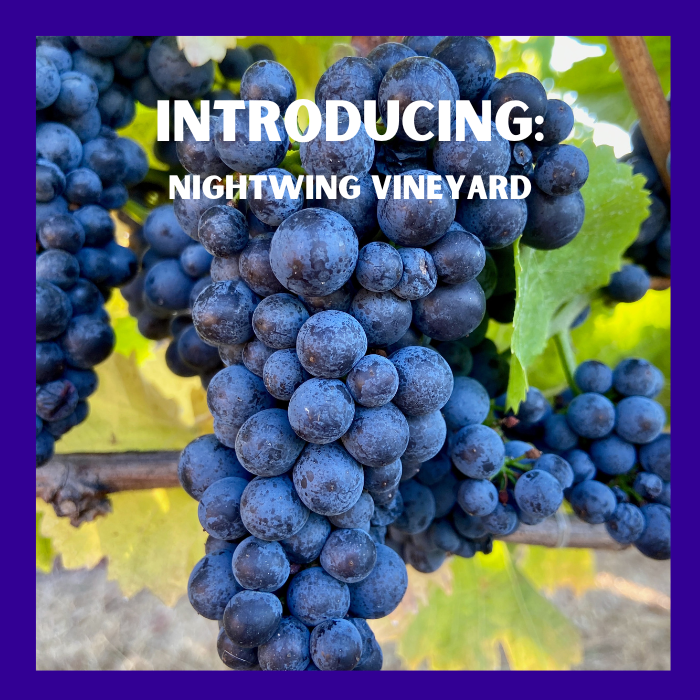 Introducing Nightwing Vineyard