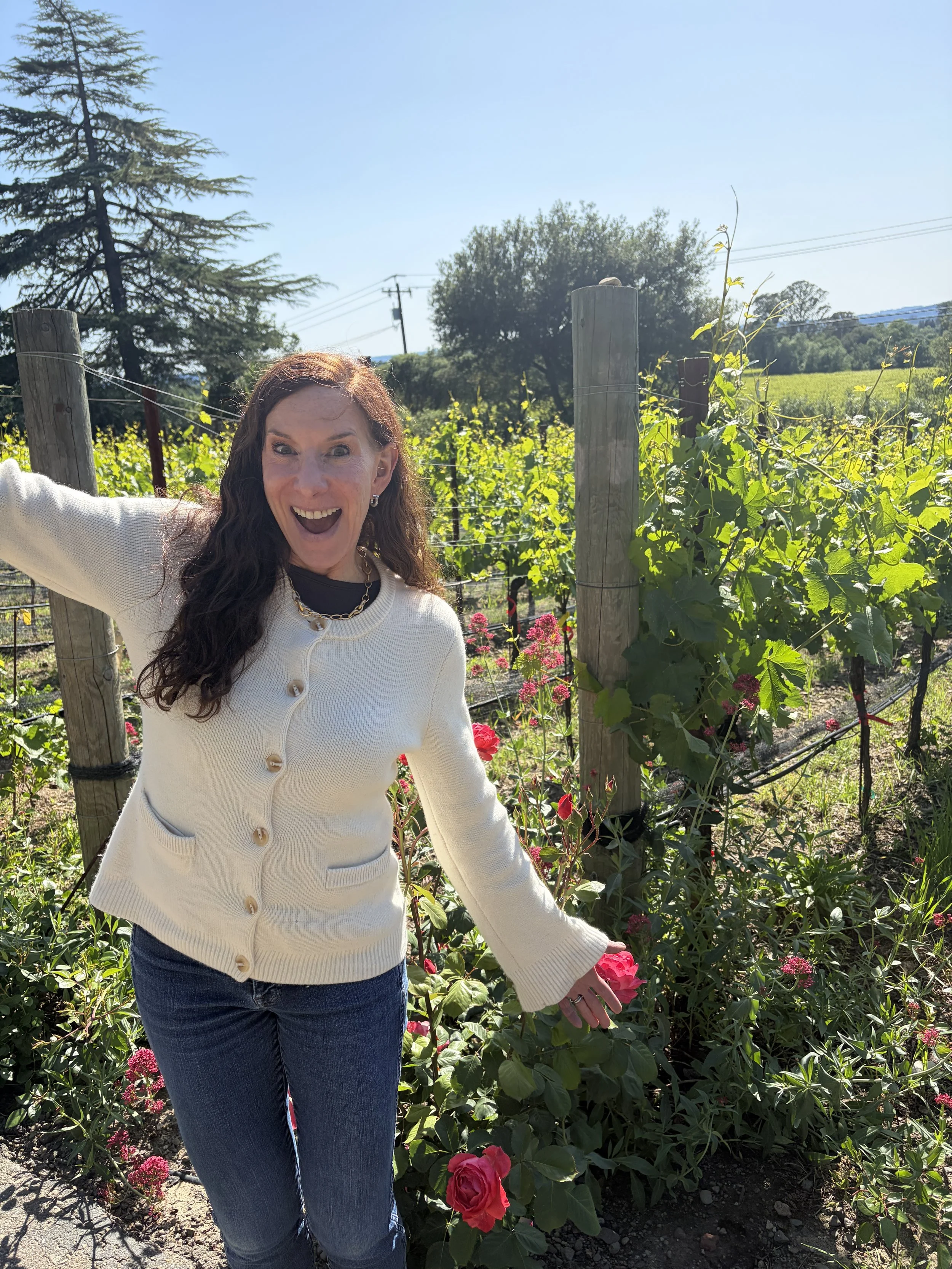 Spring Sprung (like a month ago)