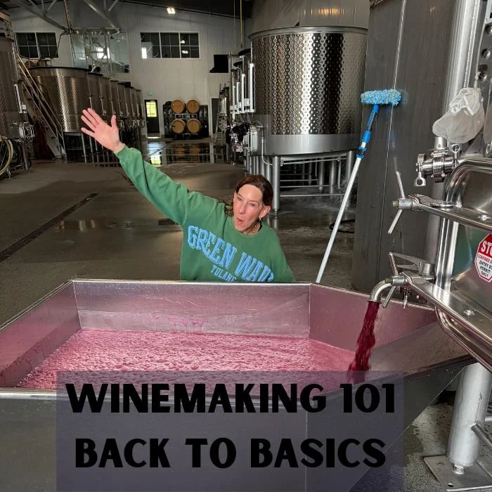 How to Make Wine (A Step-by-Step Picture Guide)