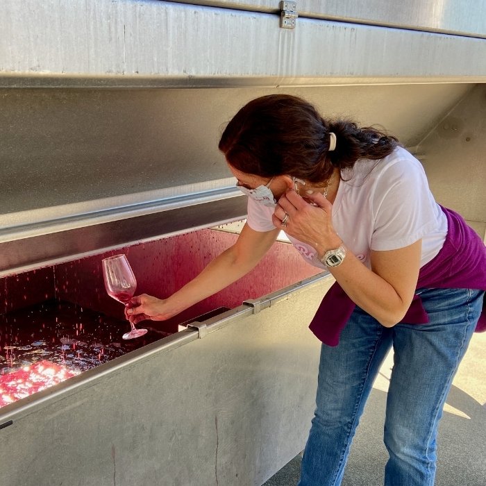 winemaker sampling wine from the press