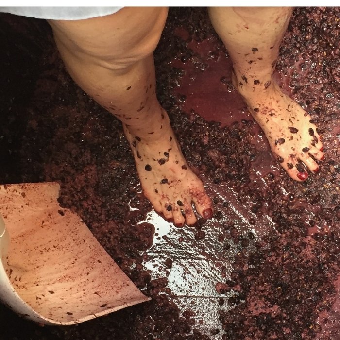 photo of bare feet alongside smushed grapes