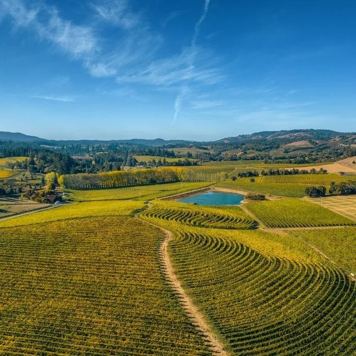 Anderson Valley