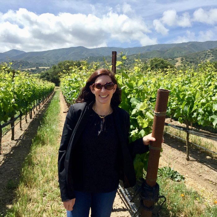 What To Expect At Santa Lucia Highlands Sun, Wind & Wine Festival — Bruliam Wines