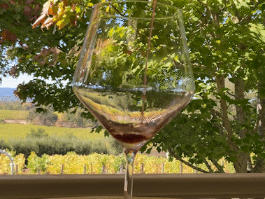 Award Winning Pinot Noir & Chardonnay by a Female Winemaker Award Winning Pinot Noir & Chardonnay by a Female Winemaker