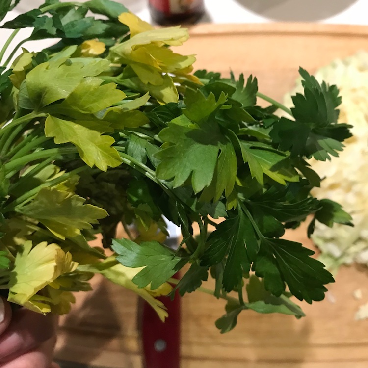 remember the parsley I bought back at the beginning of December? this is the last week for it!