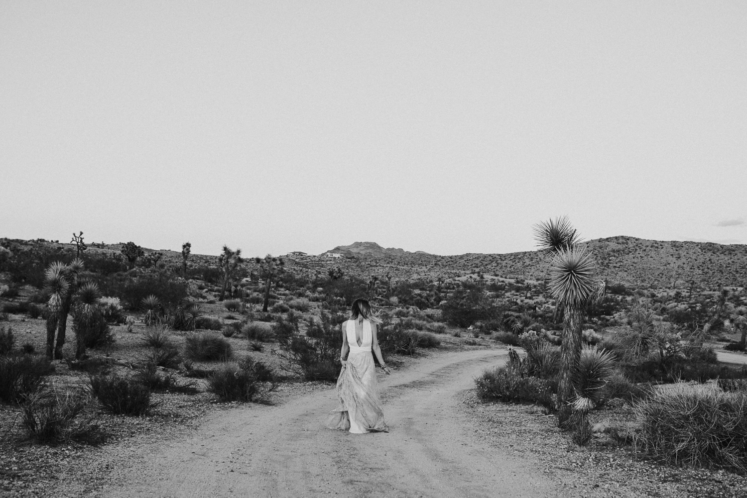 Kristen Giles_Joshua Tree National Park-3.jpg
