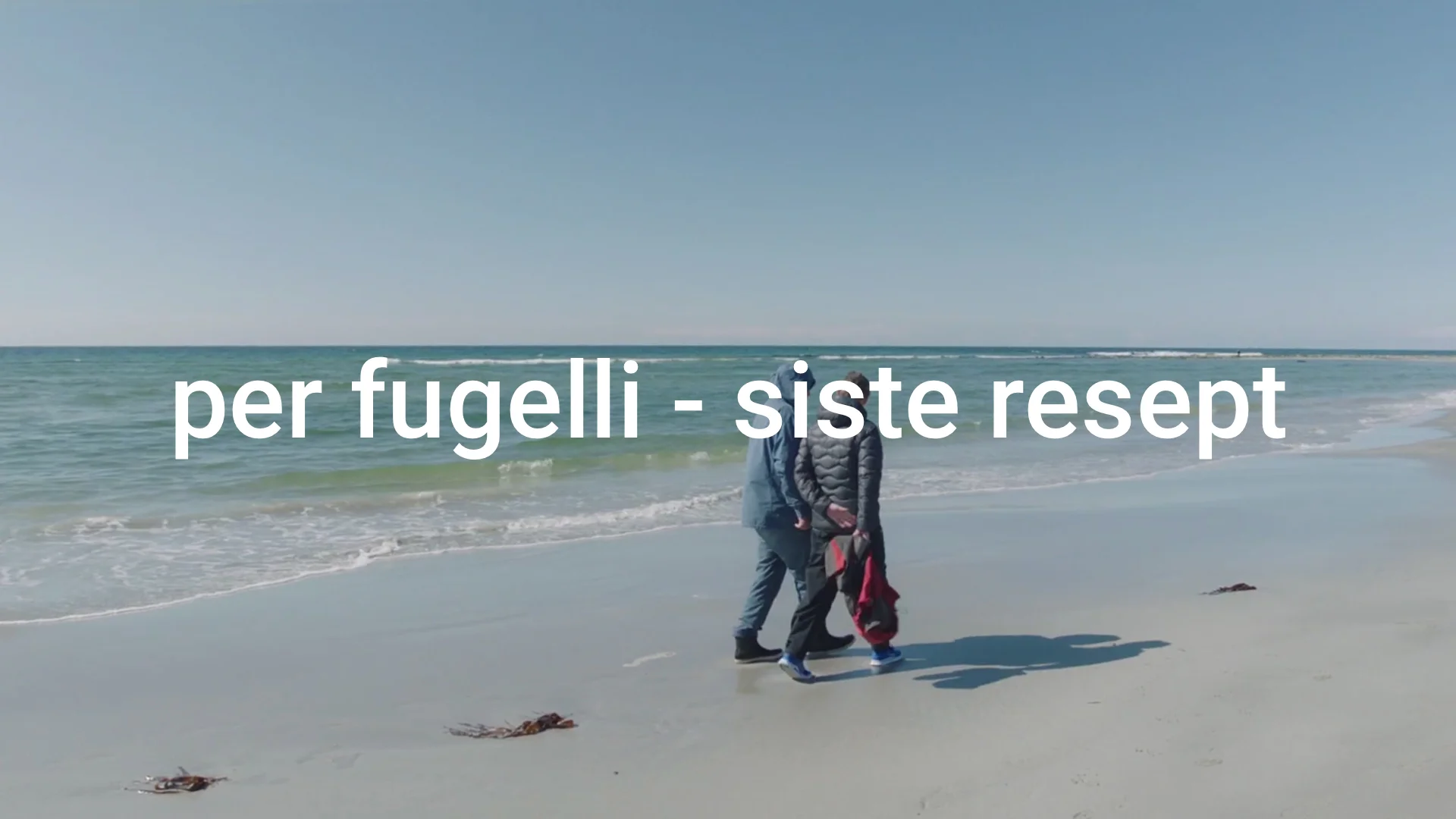 Per fugelli - siste resept NETTSIDE.jpg