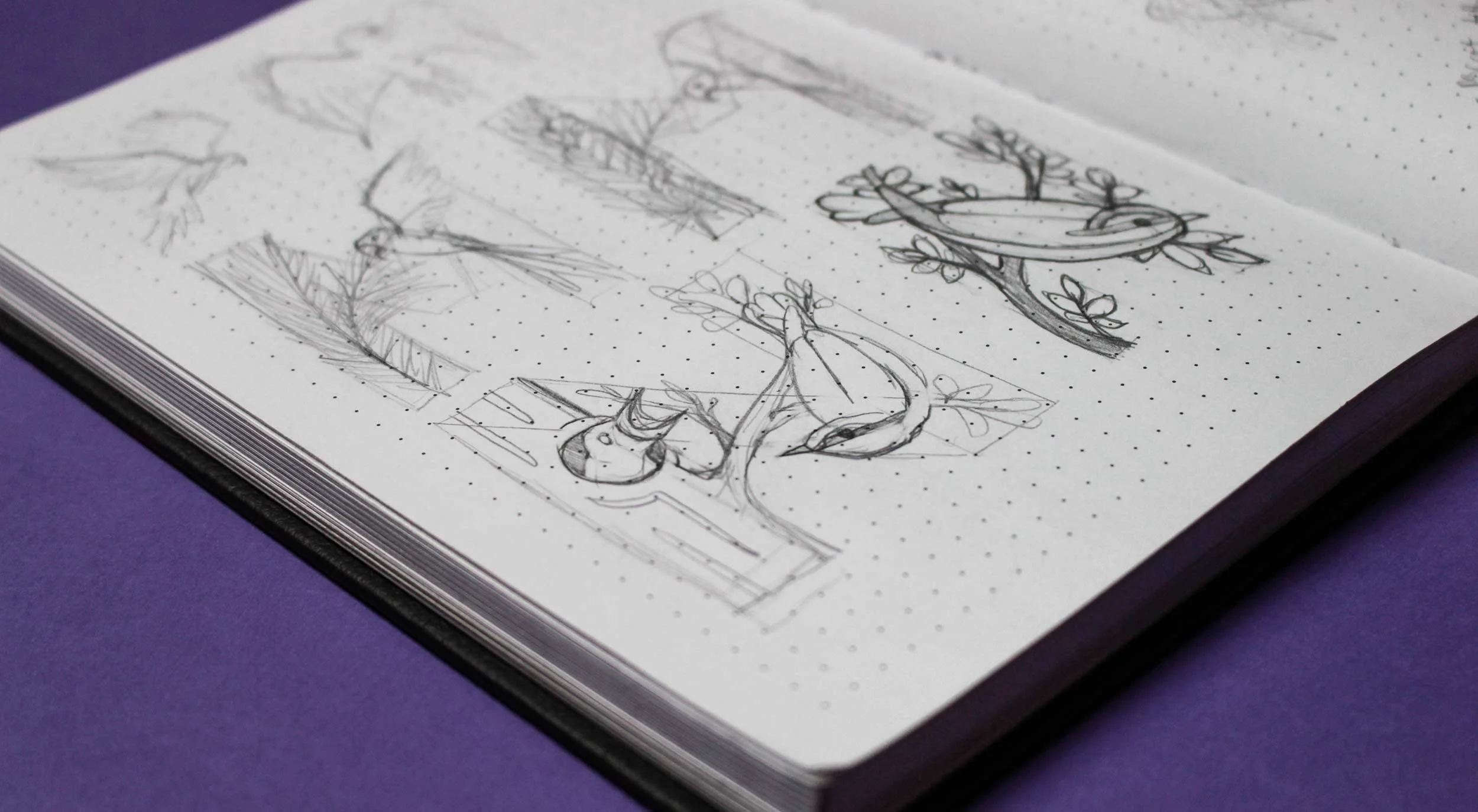 Birds_of_a-z_feather_sketch5.jpg