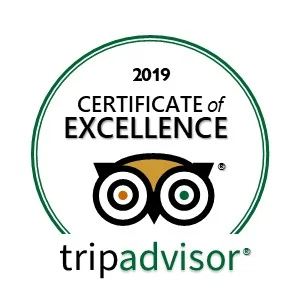 tripadvisor logo w owl.jpg