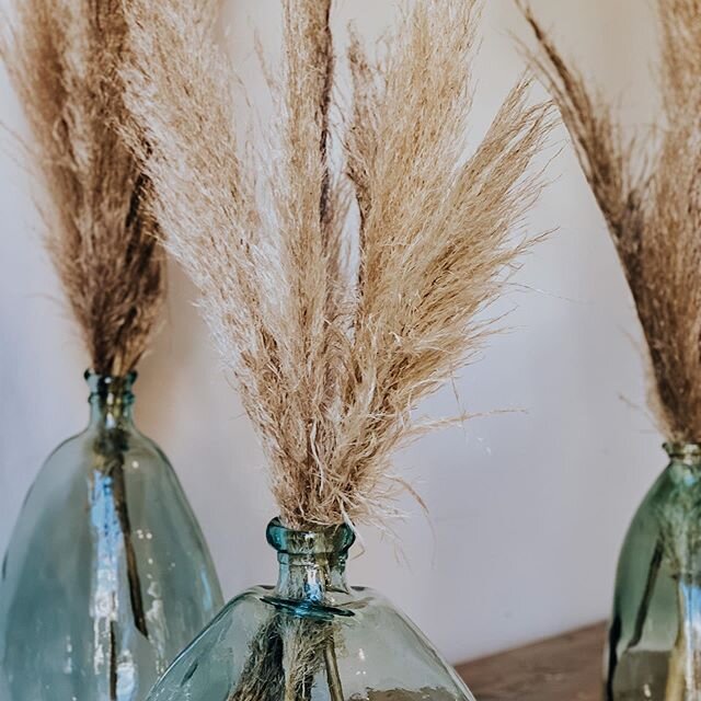 Pampas grass is perfect for every occasion 
Will you be using it for your next event florals?
Featured #bloomingbellesfloral