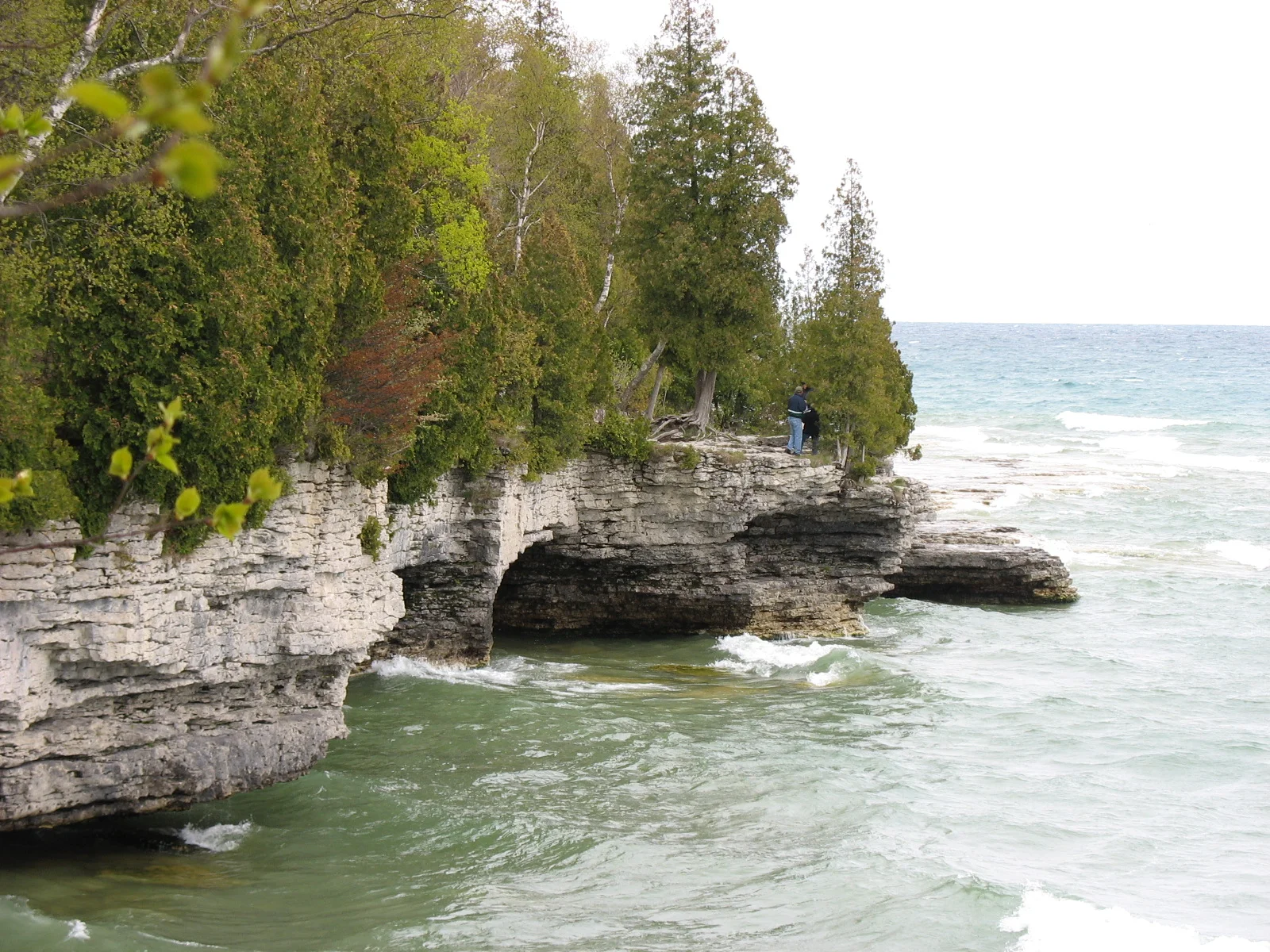 Moving Landscapes: An Online Circle of Trust Retreat for Early Summer