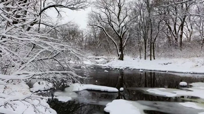 Welcoming Stillness: An Introductory Circle of Trust Retreat