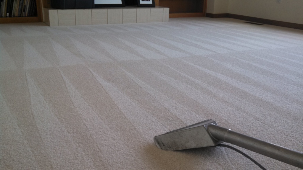 White Carpet