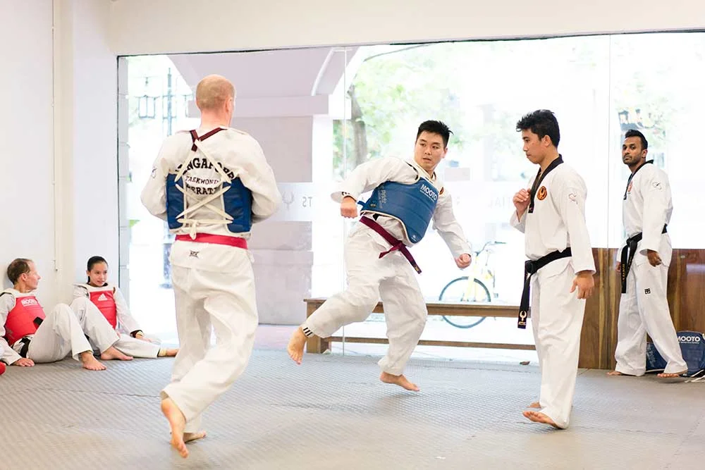 tkd2.jpg