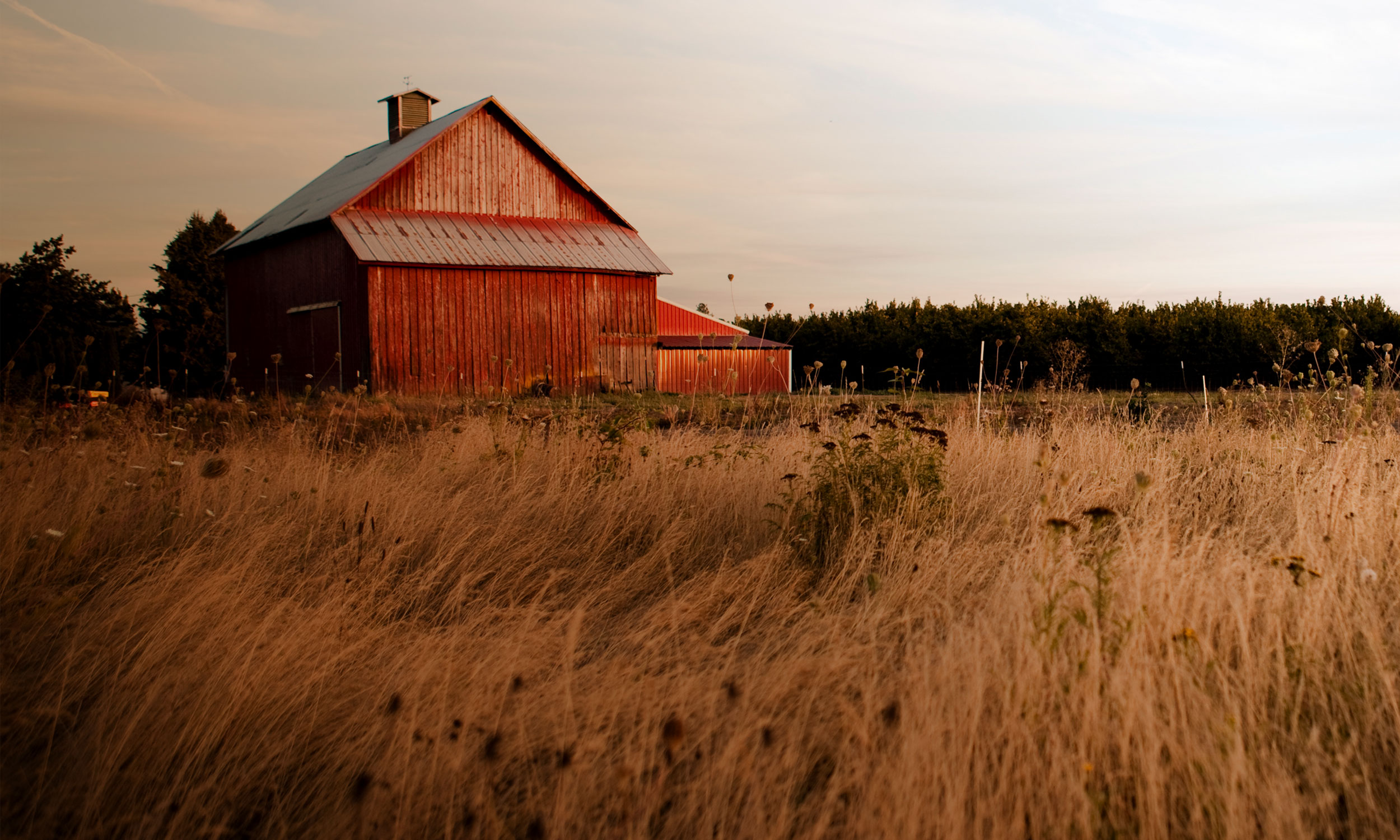 farm-parallax.jpg