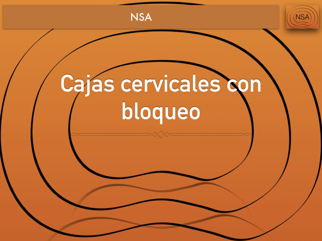 NSA Cajas cervicales con bloqueo.002.jpeg