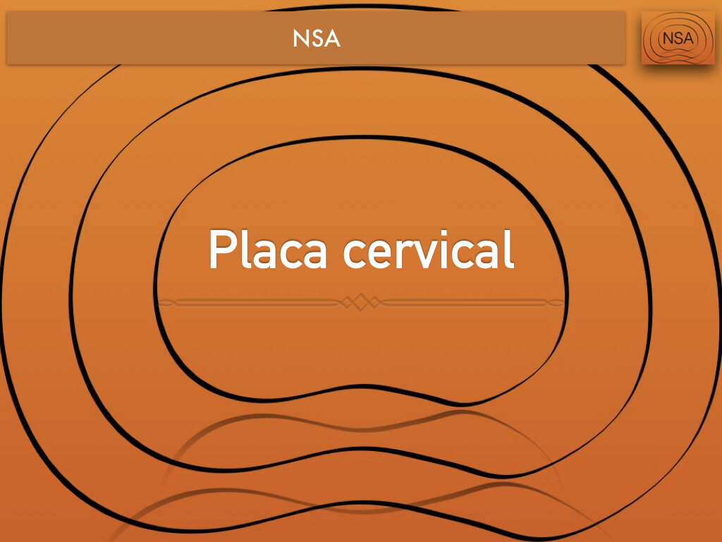 NSA placas cervicales.002.jpeg