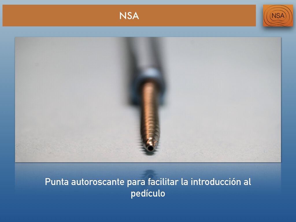NSA Tornillo transpedicular minima invasión.006.jpeg