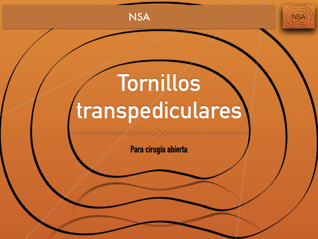 NSA Tornillo transpedicular normal.002.jpeg