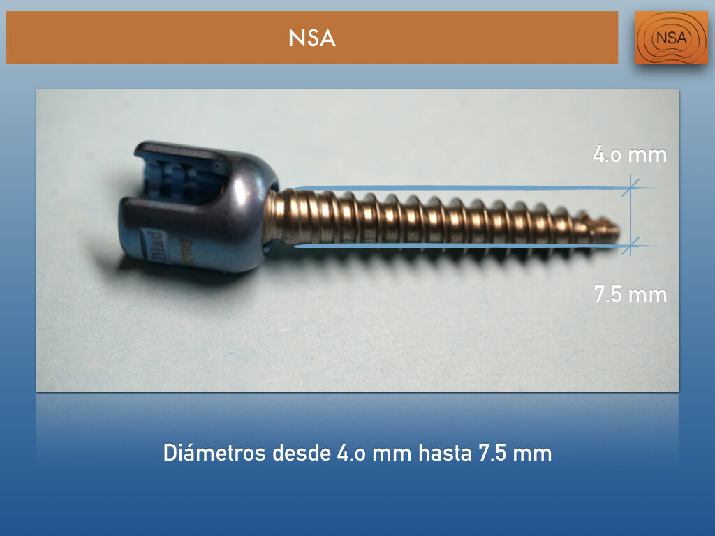 NSA Tornillo transpedicular normal.007.jpeg
