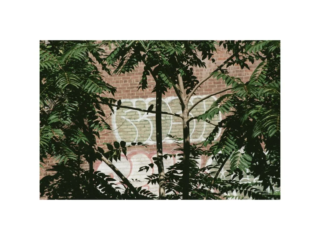  The repetition and the shift from place to place 