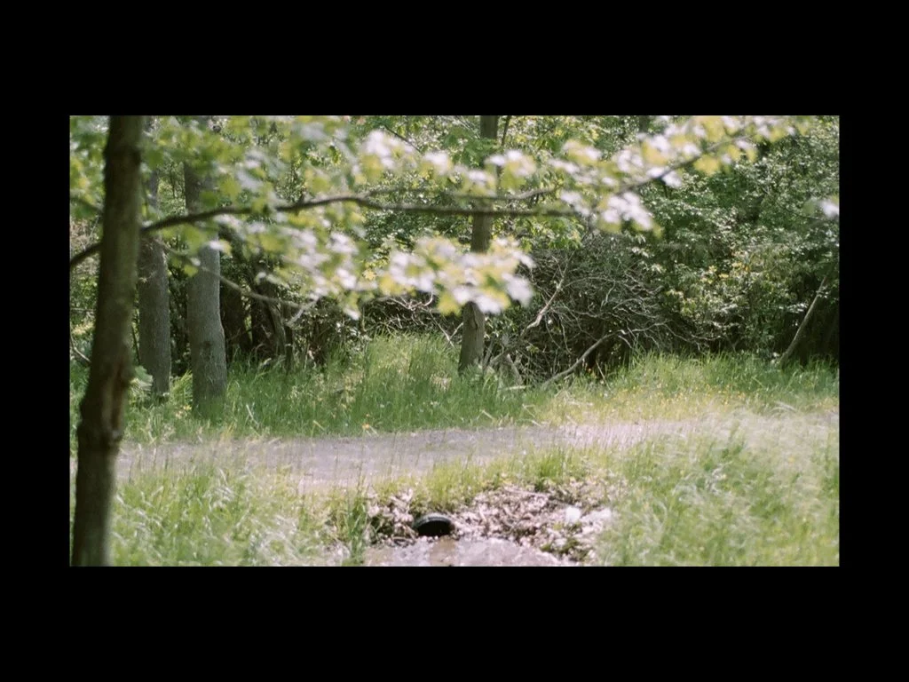   and shared togetherness. 